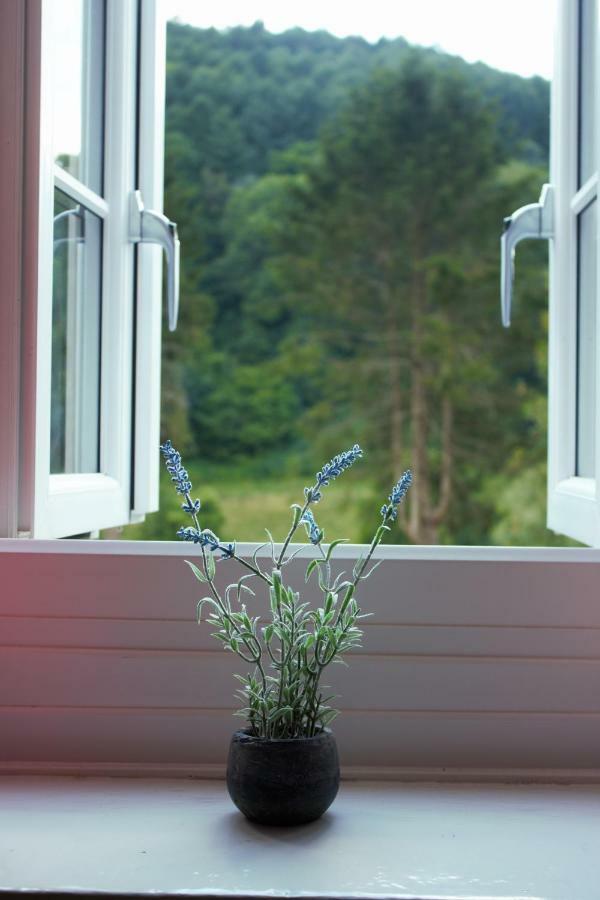 Bed and Breakfast Inglewood House Монмут Экстерьер фото